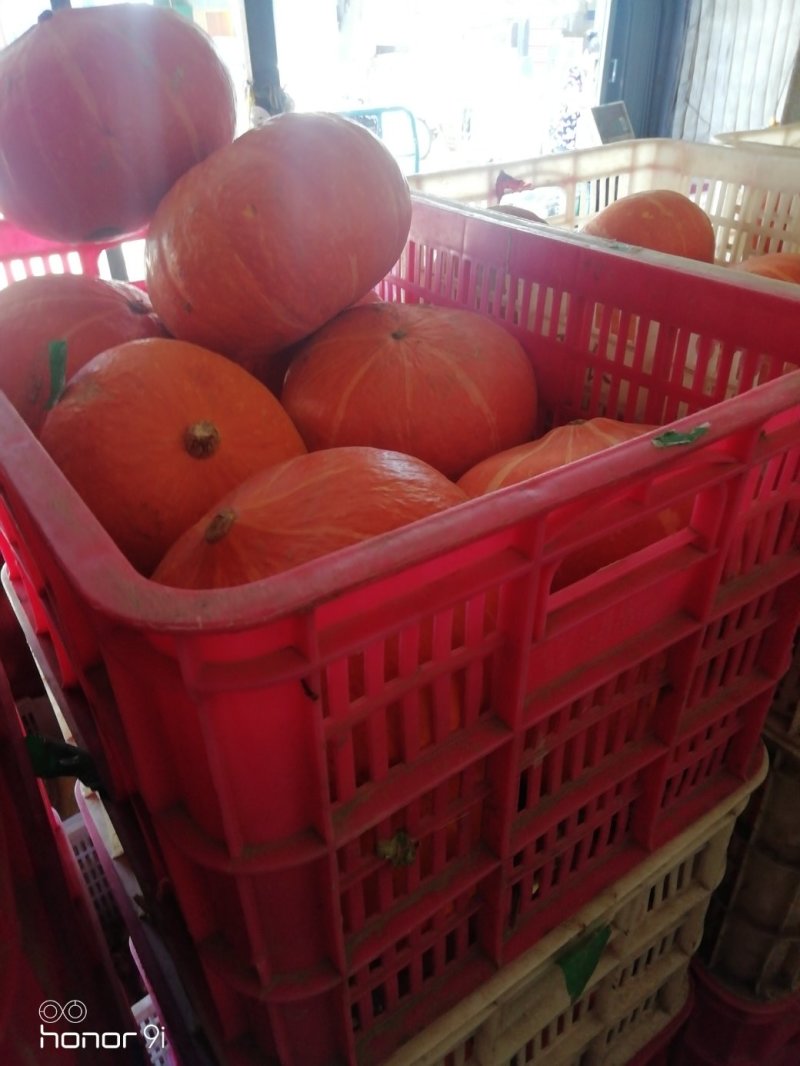 南瓜🎃