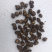 半夏种茎精品选择苗，专利技术
