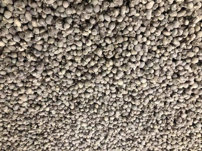 半夏种茎精品选择苗，专利技术