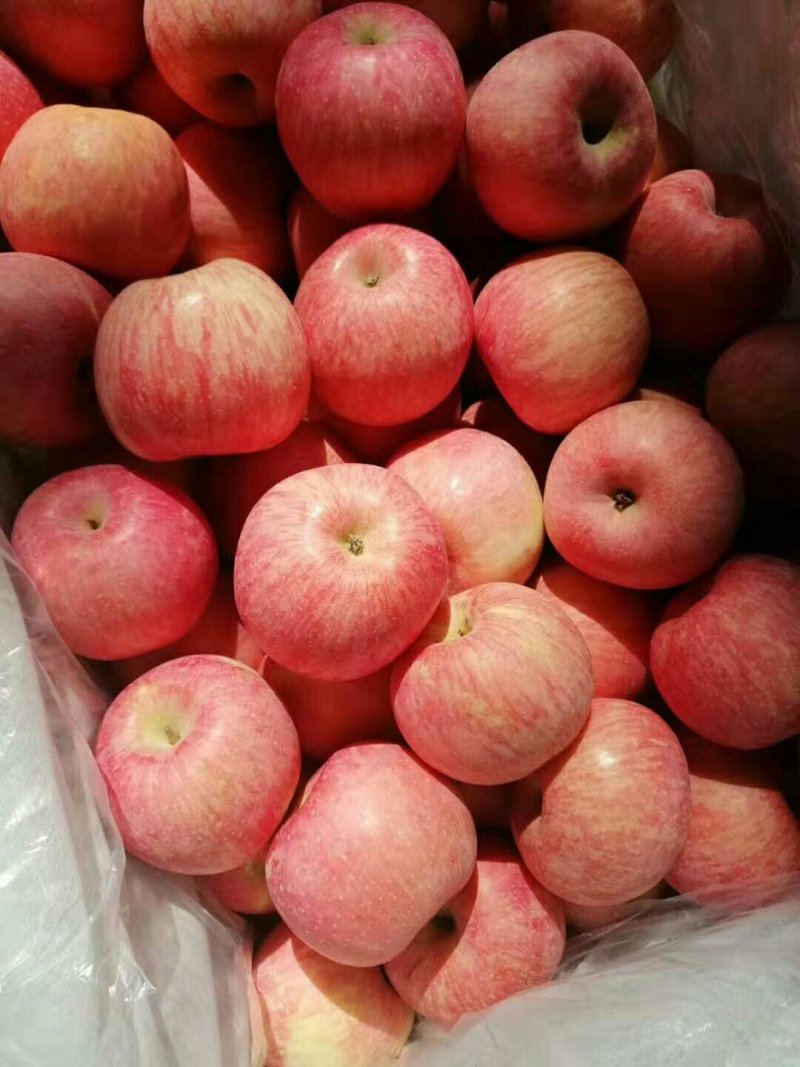 红露苹果*口感甜脆*品类规格齐全