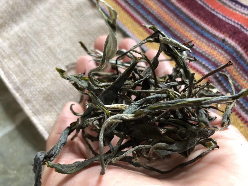 2019年千家寨千年野茶老茶客的标杆茶