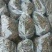 威海青皮无花果熟果手工切片烘干果干开始上市