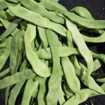 芸豆渣子
