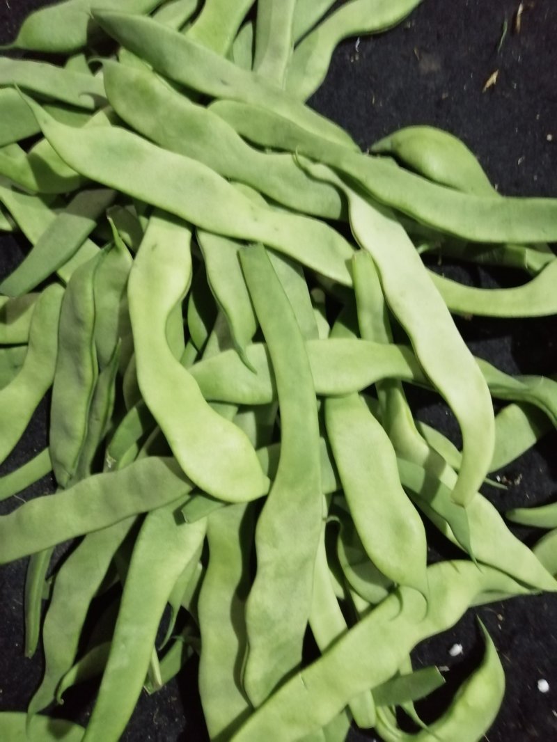 芸豆渣子