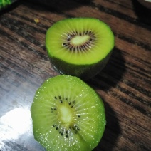 猕猴