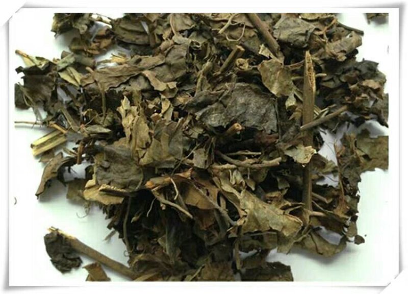 肿节风产地直供支持线上交易可搭配多品种采购大货联系