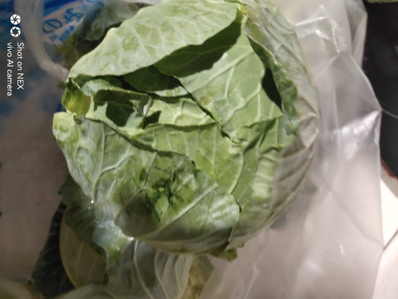 【甘蓝】湖北扁包菜原产地直发可视频看货量大从优