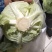 【甘蓝】湖北扁包菜原产地直发可视频看货量大从优
