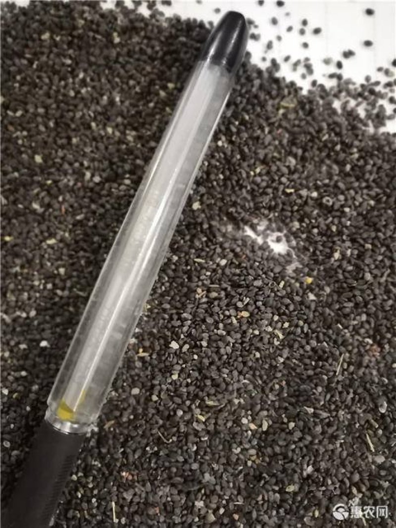 菥蓂.道地药材，质优价实，品质保证，药典标准一公斤起批
