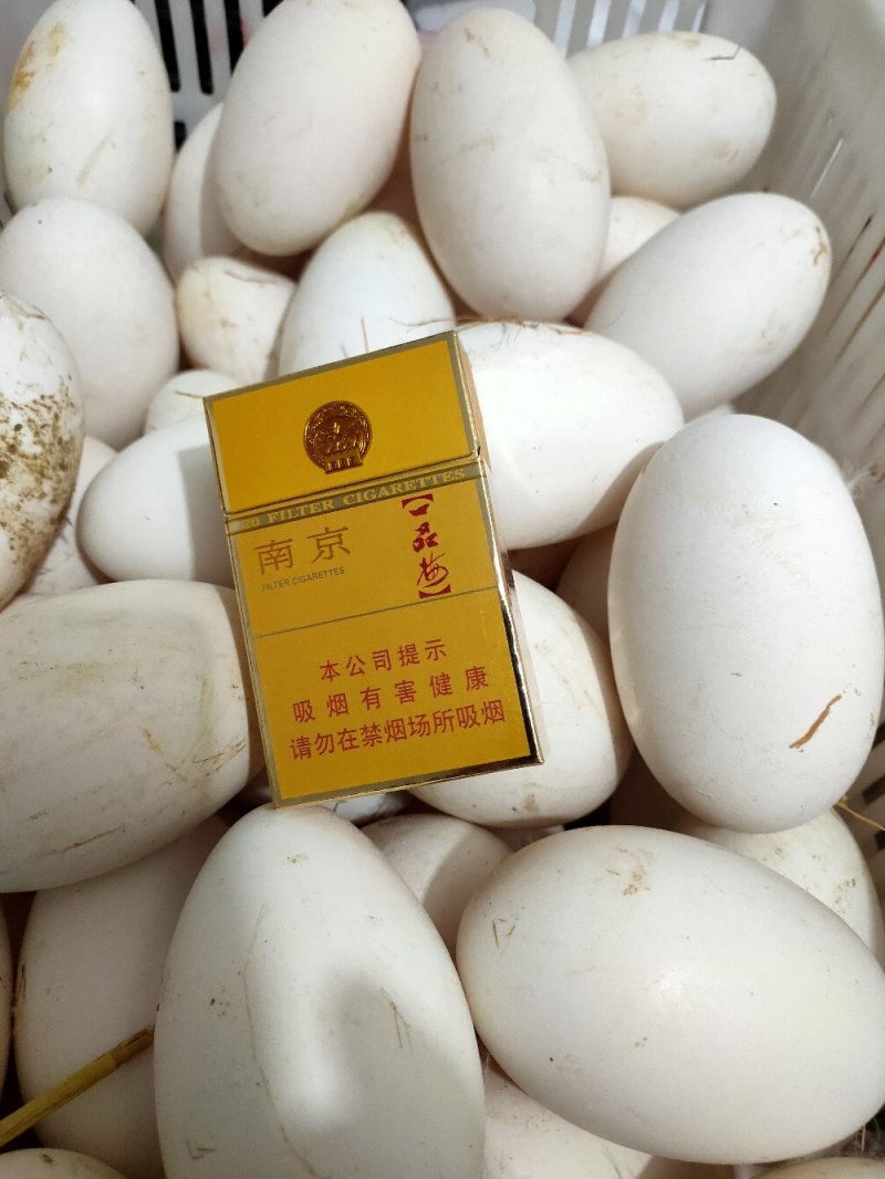 双黄鹅蛋林地散养新鲜优质储存耐久包装稳妥安全无虞