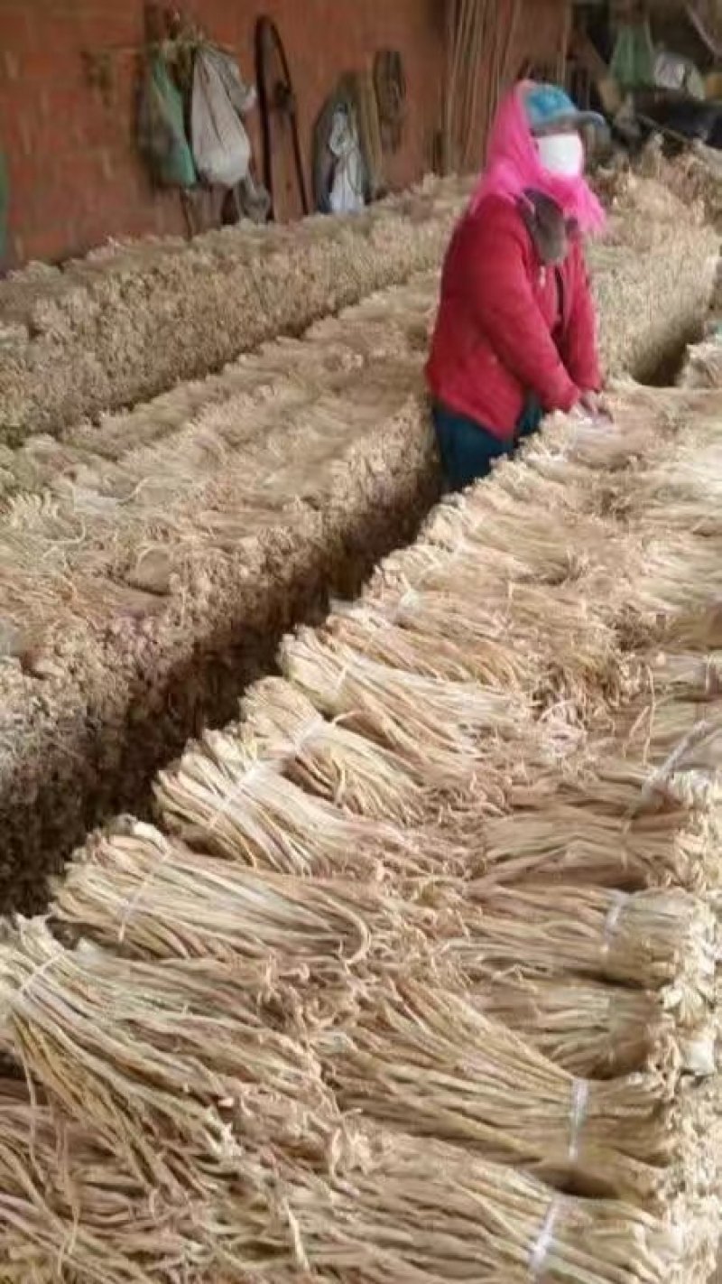 供应：精品萝卜条，萝卜干，
