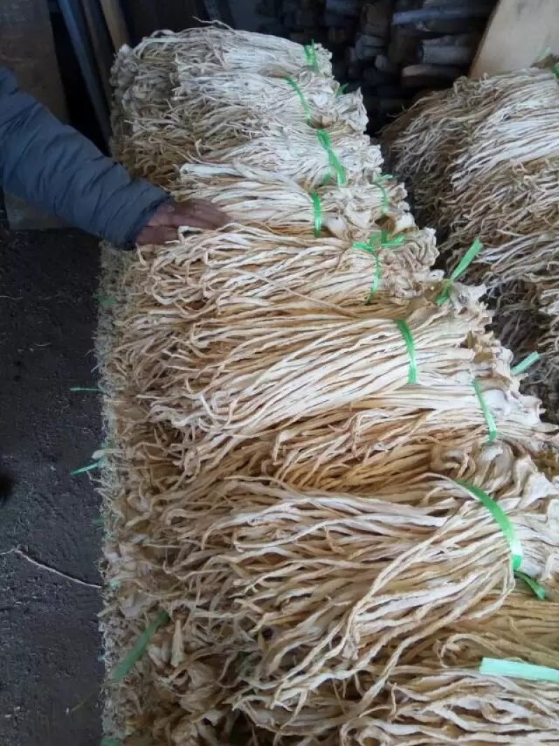 供应：精品萝卜条，萝卜干，