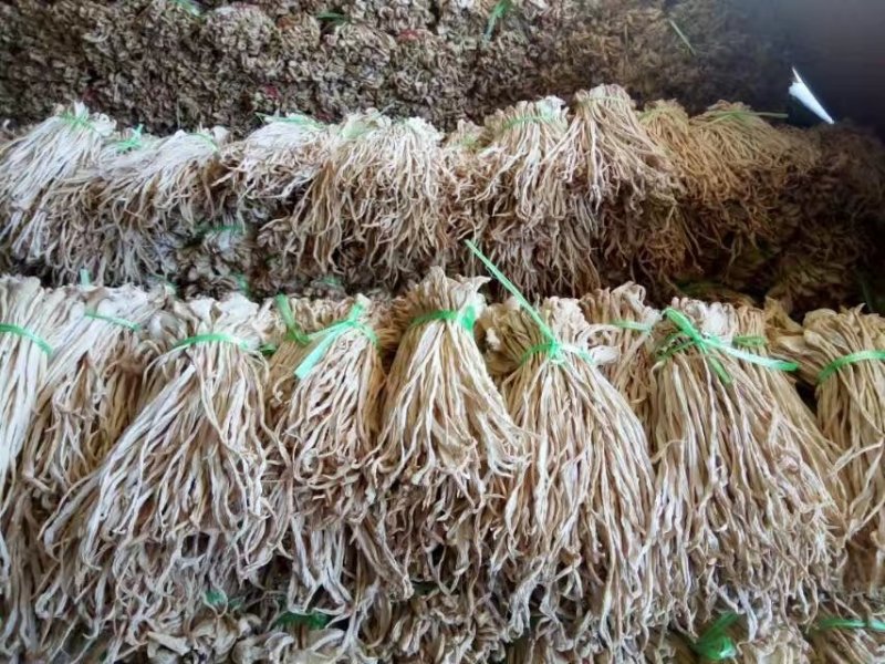 供应：精品萝卜条，萝卜干，