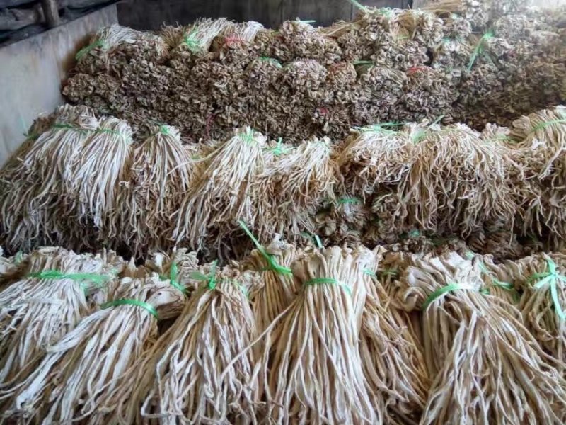 供应：精品萝卜条，萝卜干，