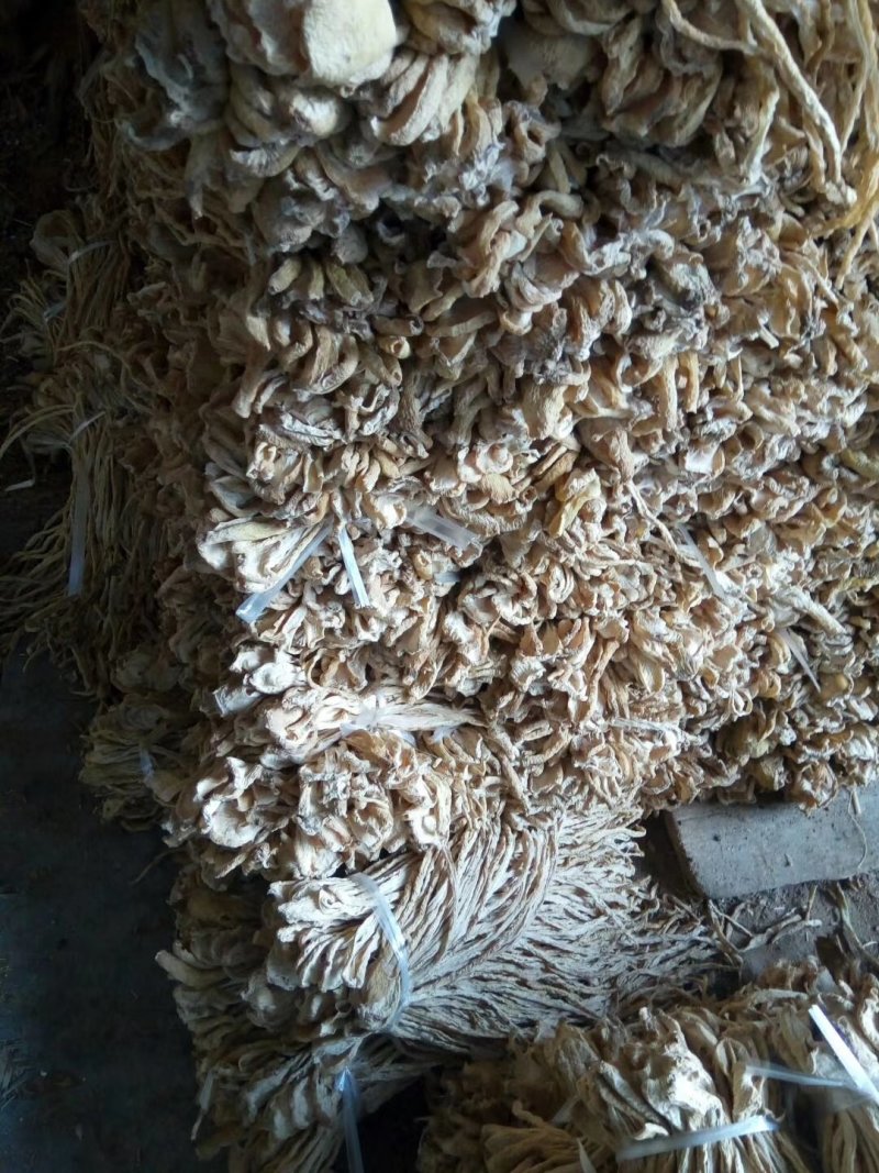供应：精品萝卜条，萝卜干，