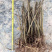 庭院绿化植物户外耐寒地栽盆栽结香花树苗梦花打结浓香花卉