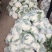 白面青梗松花菜散花2~3斤乳白，质量不错
