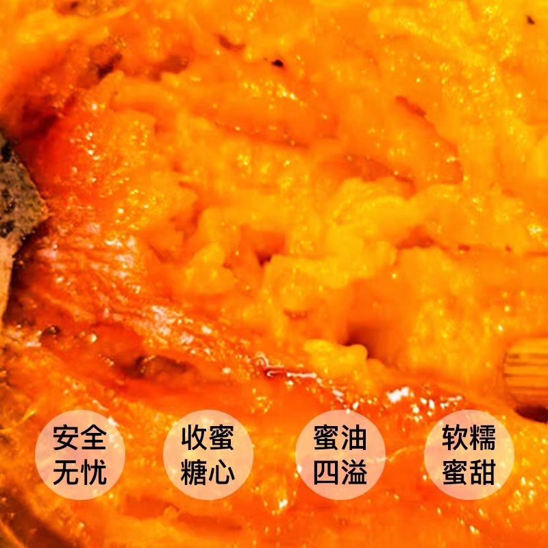 田集蜜烟薯25上市了👍欢迎采购！手快则有，手慢则无🍵