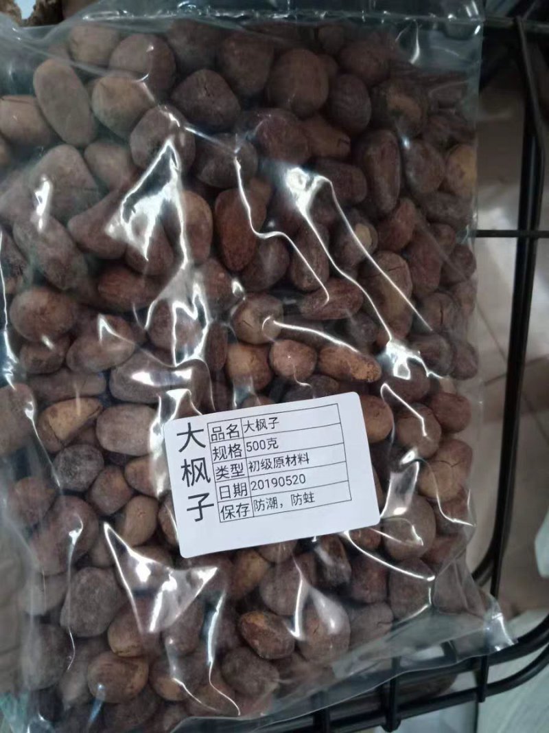 大枫子大风子大枫籽麻风子中药材农家初选农副