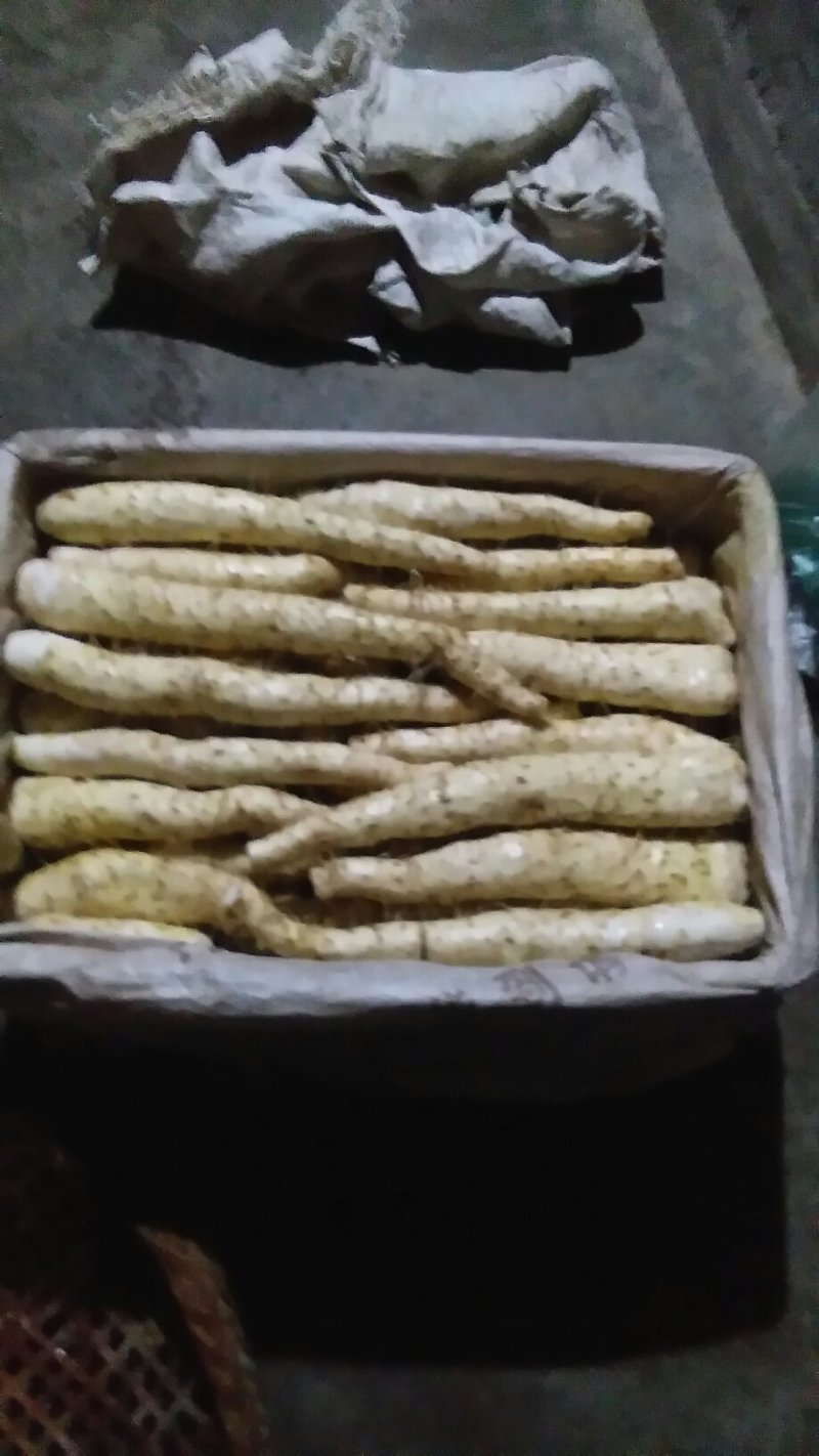哪喇坪生态山药一（花山仔）
