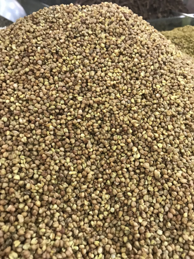 苦乔茶大量现货批发常年有货