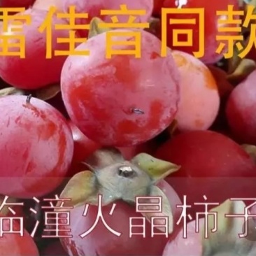 临潼特产，火晶柿子1~2两以内。