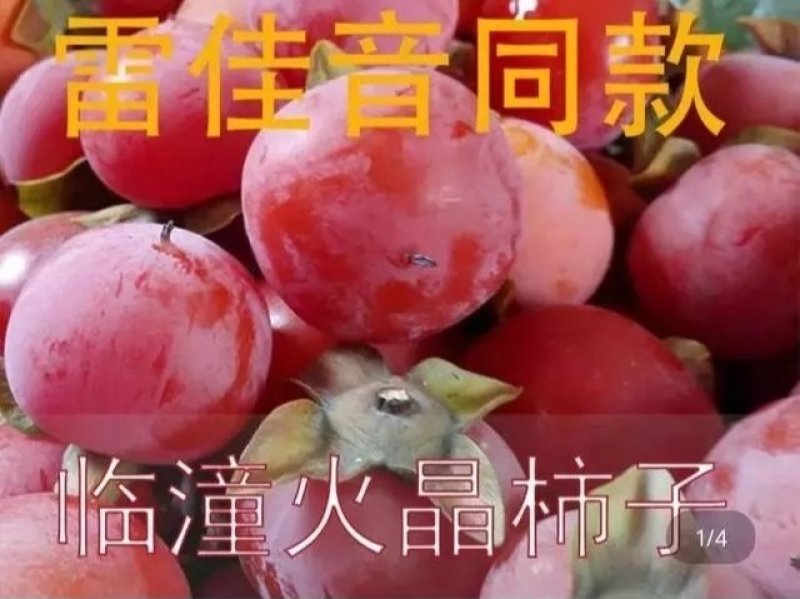 临潼特产，火晶柿子1~2两以内。