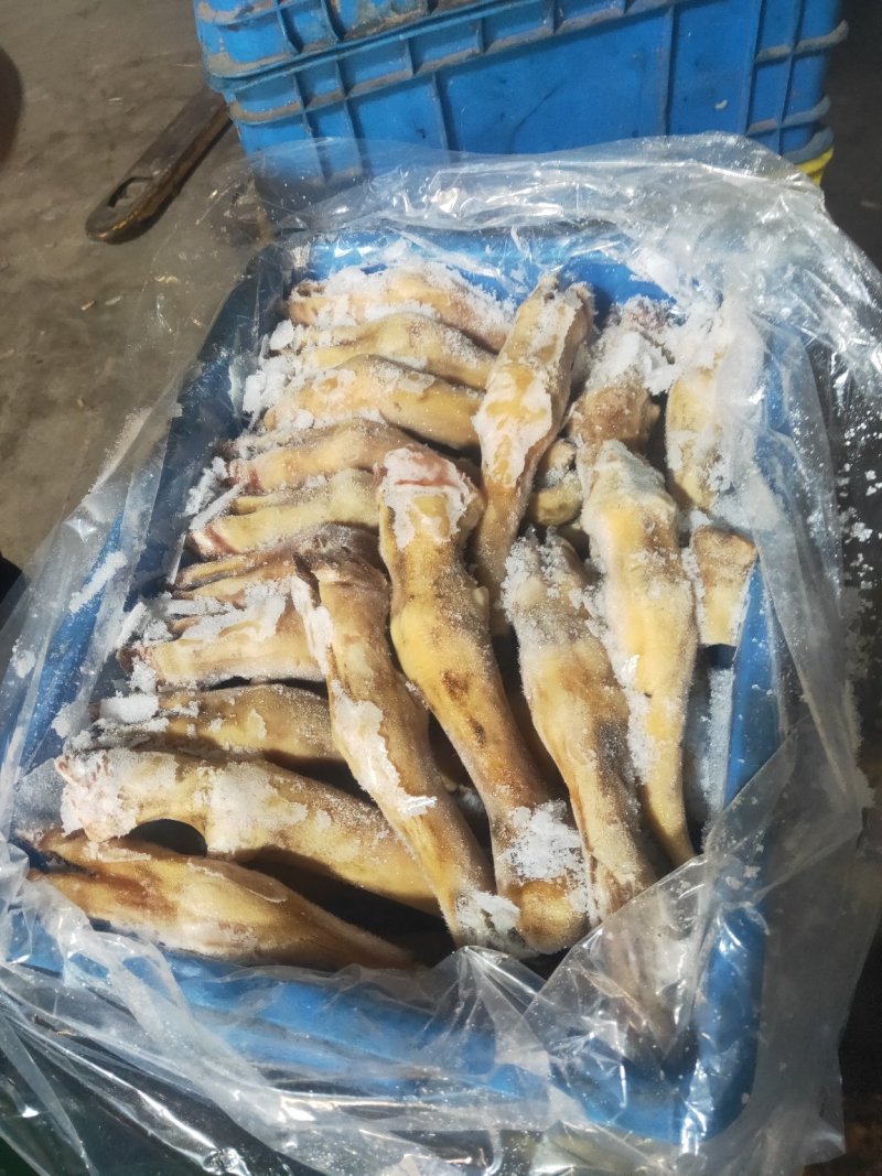 羊副产品羊下货羊杂