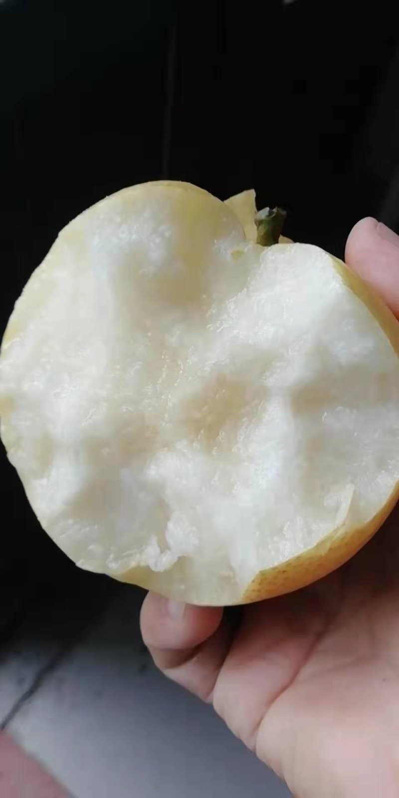 新高梨四两以上
