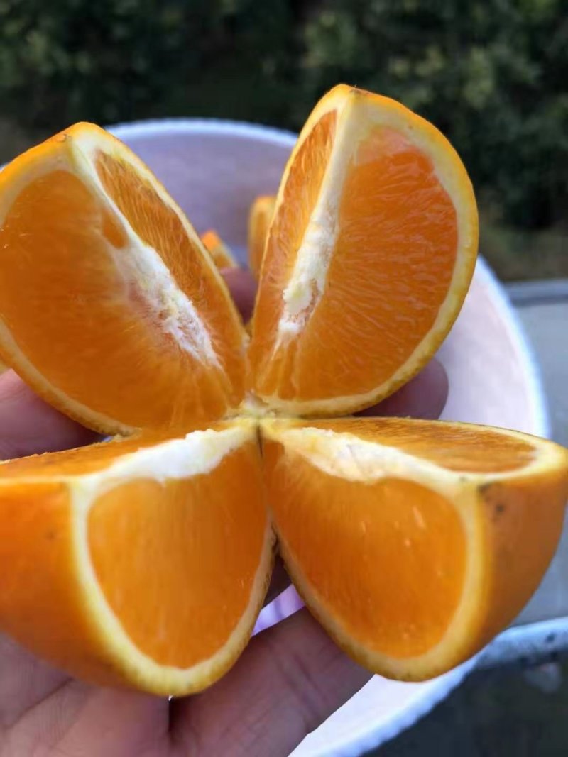 冰糖橙十斤包邮包装完好一件代发