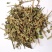 九头狮子草.湖南产道地药材，质优价实，品质保证，药典标准