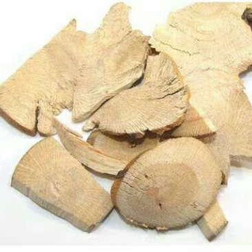 云实根产地直供支持线上交易可搭配多品种采购大货联系