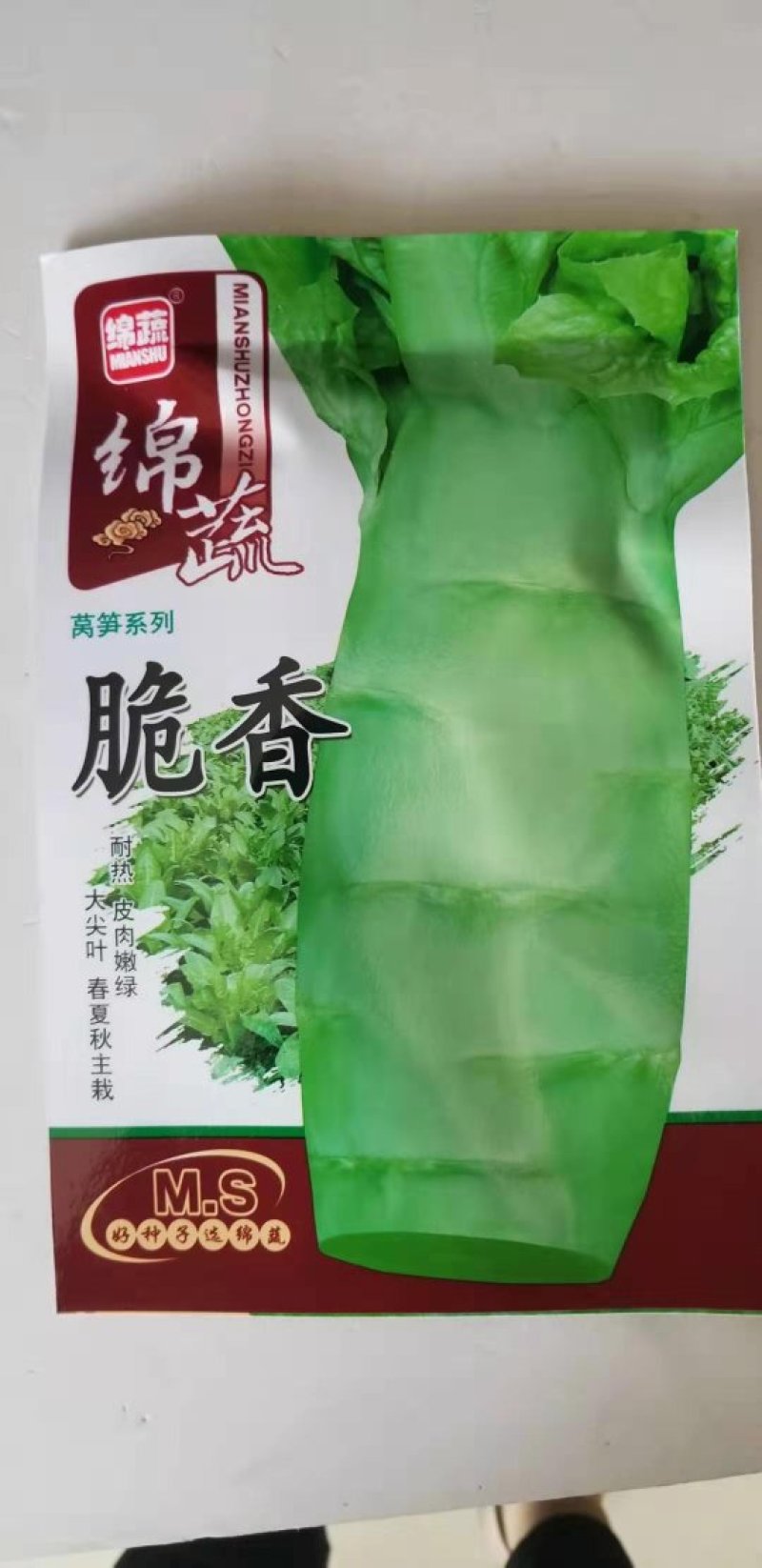 莴笋种子红皮绵蔬红坝紅皮窝笋，脆香青皮莴笋种子