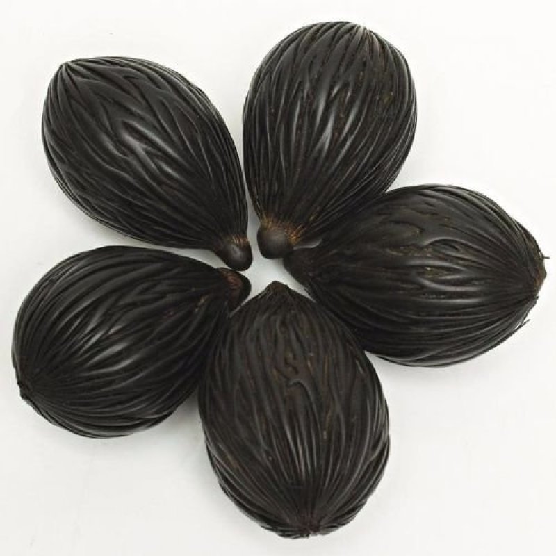 菩提树花，道地药材，质优价实，品质保证，药典标准一公斤起