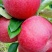 糖心苹果🍎