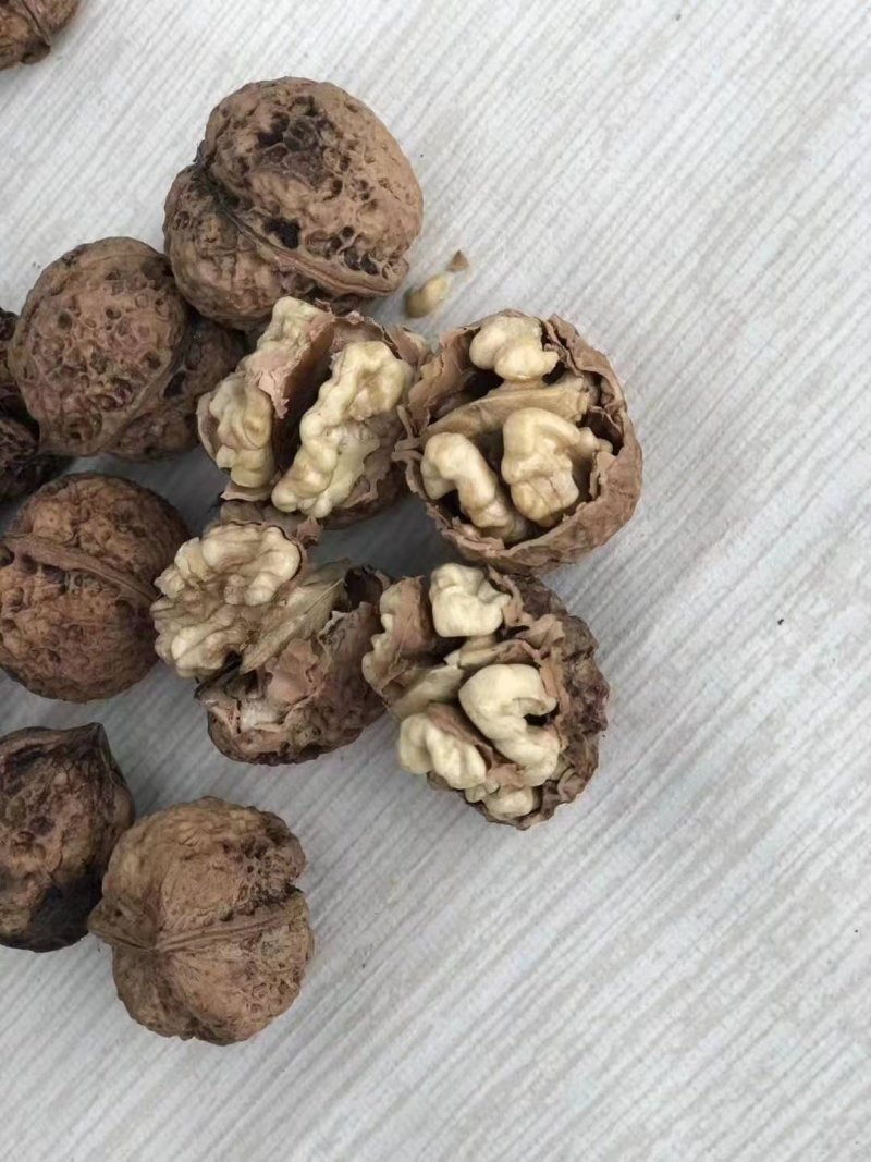 新疆薄皮核桃云南麻子核桃，大量欢迎咨询