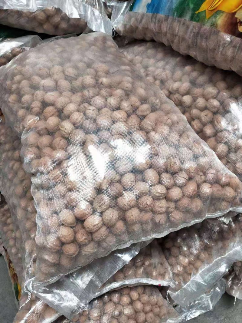 新疆薄皮核桃云南麻子核桃，大量欢迎咨询