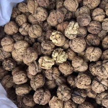 新疆薄皮核桃云南麻子核桃，大量欢迎咨询
