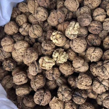 新疆薄皮核桃云南麻子核桃，大量欢迎咨询