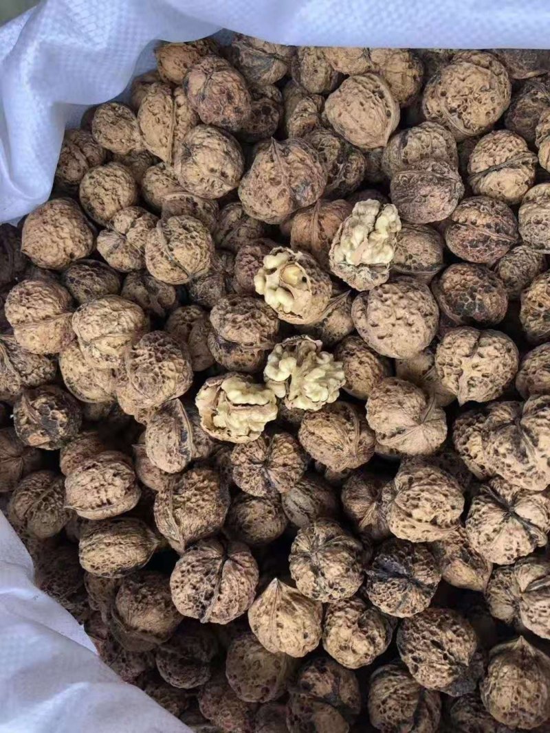 新疆薄皮核桃云南麻子核桃，大量欢迎咨询