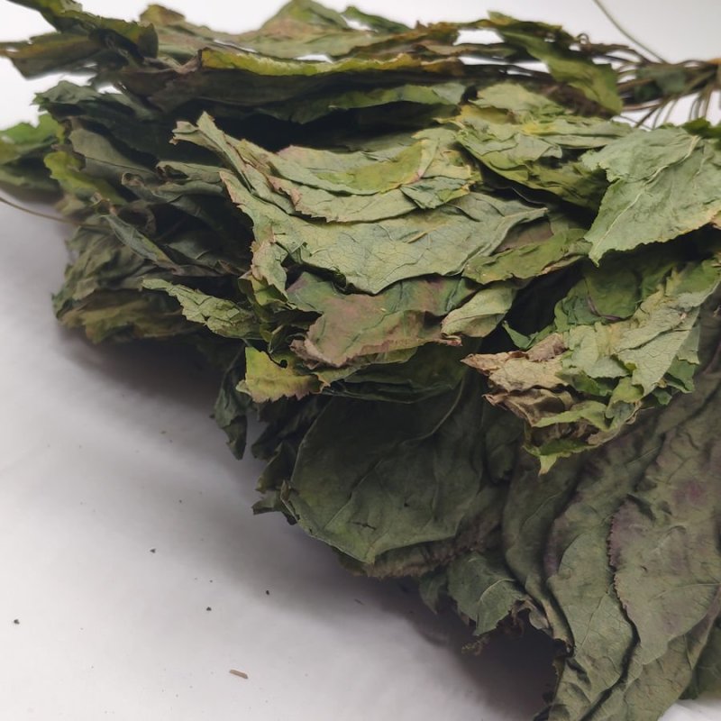 人参叶，道地药材，质优价实，品质保证，药典标准一公斤起批