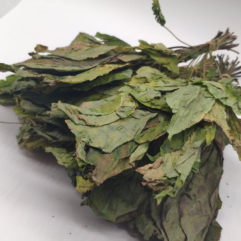 人参叶，道地药材，质优价实，品质保证，药典标准一公斤起批