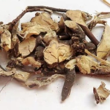 芫花根，道地药材，质优价实，品质保证，药典标准一公斤起批