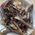 芫花根，道地药材，质优价实，品质保证，药典标准一公斤起批