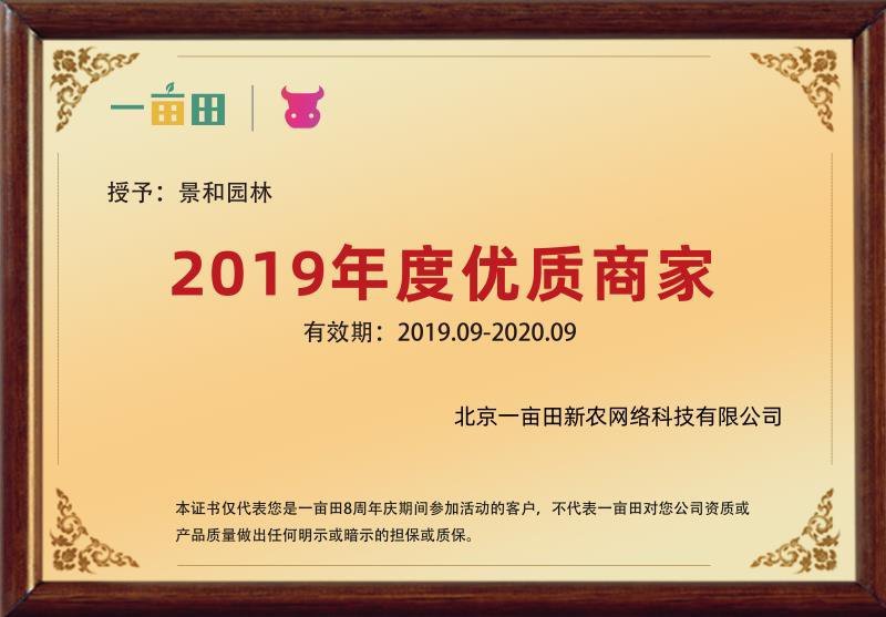 脱毒妙香7号产地直供精品矮壮苗免费提供技术支持。