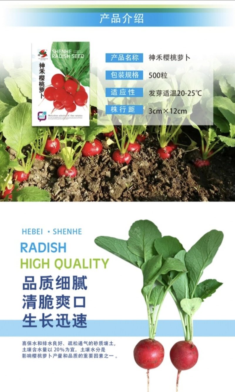 神禾种业樱桃萝卜种子水果萝卜蔬菜种子四季播蔬果种籽萝卜