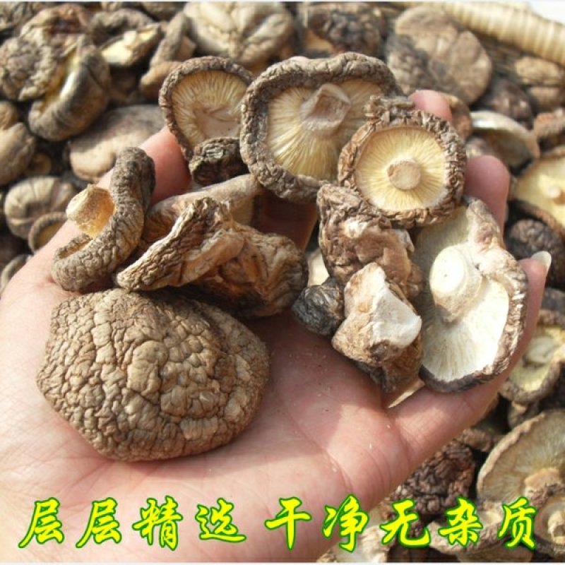 新货香菇无根香菇餐饮黄焖鸡香菇干货秋冬菇商用香菇2斤包邮