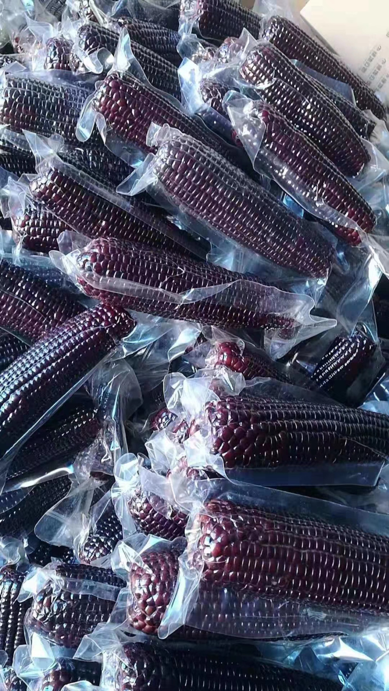蔬品荟-黑甜糯玉米