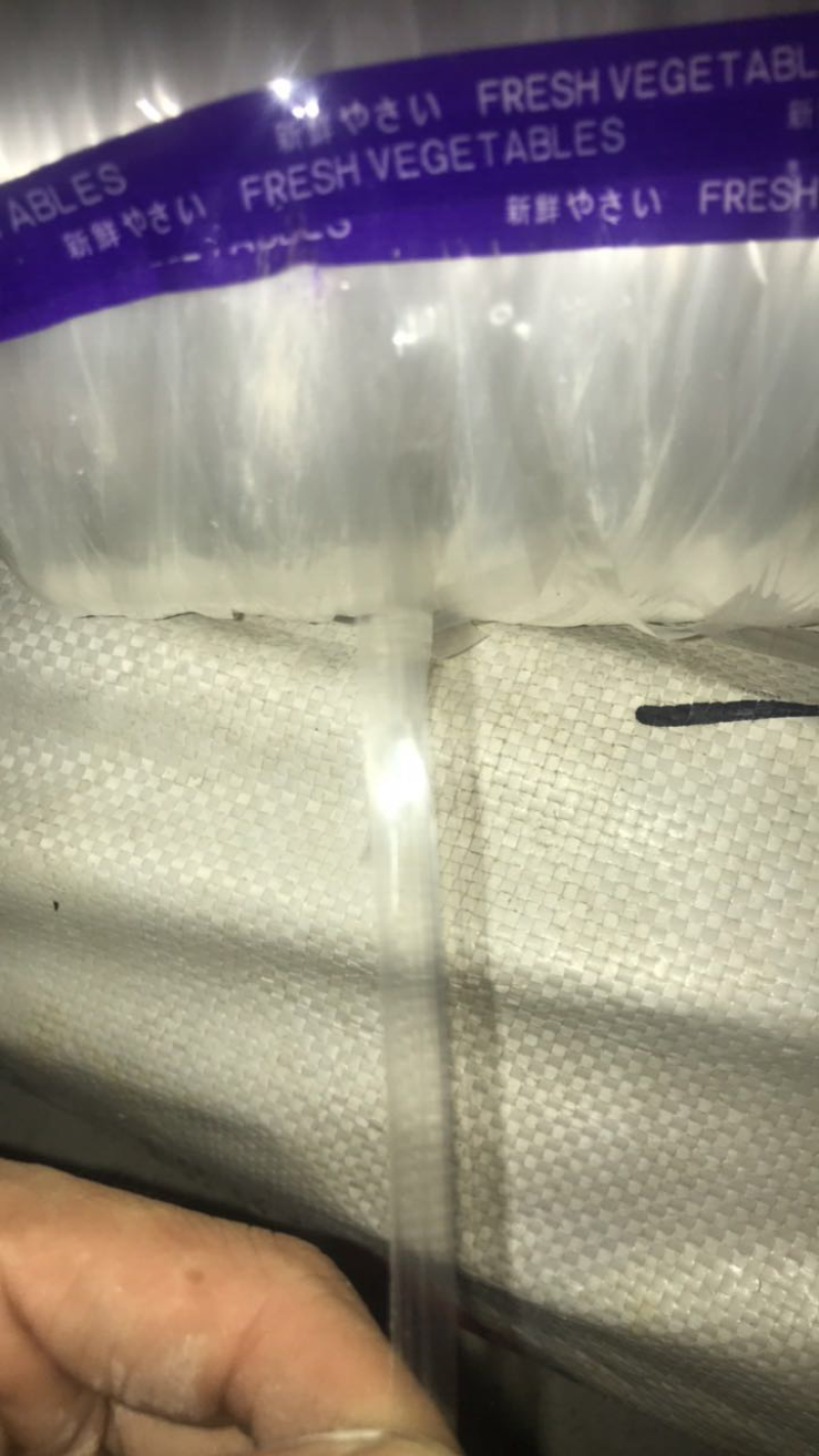 【热卖】吊蔓绳白扁丝大棚蔬菜辣椒专用甜瓜吊绳