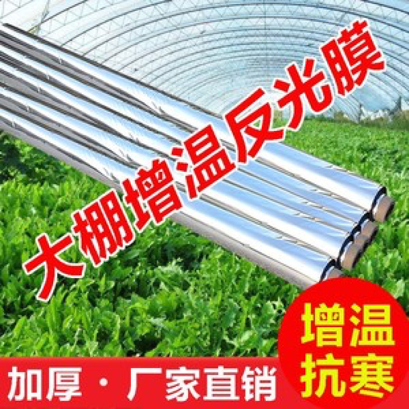 农用反光膜大棚补光膜草莓苹果大棚蔬菜反光膜